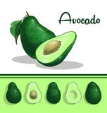 Clip art del aguacate libre illustration Clip art del aguacate libre illustration