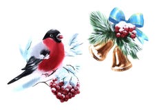 Cloches d'illustration d'aquarelle et objet d'isolement coloré de Rowan Bullfinch sur le fond blanc pour la publicité illustration de vecteur Cloches d'illustration d'aquarelle et objet d'isolement coloré de Rowan Bullfinch sur le fond blanc pour la publicité illustration de vecteur