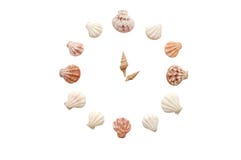Clock From Cockleshells Stock Images Clock From Cockleshells Stock Images