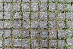 Close Up Background And Texture Of Floor Made From Cement Blocks And Between The Joints Has A Green Grass Stock Photo