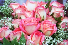 Beautiful pink rose flowers bouquet,vertical royalty free stock photos Beautiful pink rose flowers bouquet,vertical royalty free stock photos
