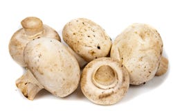 Close-up Big Champignon Isolated Royalty Free Stock Photos Close-up Big Champignon Isolated Royalty Free Stock Photos