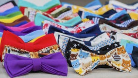 Close-up of colorful bow ties for hipsters, creative subculture. Vivid picturesque backdrop for wallpaper, design Stock Images Close-up of colorful bow ties for hipsters, creative subculture. Vivid picturesque backdrop for wallpaper, design Stock Images