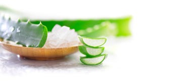 Close up do gel de Vera do aloés no fundo de madeira branco Folha do aloevera e gel cortados orgânicos, ingredientes cosméticos o Fotos de Stock Close up do gel de Vera do aloés no fundo de madeira branco Folha do aloevera e gel cortados orgânicos, ingredientes cosméticos o Fotos de Stock