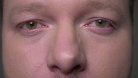 Close-up eyes portrait of brunette middle-aged businessman watching fixedly into camera on gray background. stock video footage Close-up eyes portrait of brunette middle-aged businessman watching fixedly into camera on gray background. stock video footage