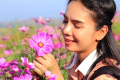 Close up face,caucasian woman and expression happiness,pretty girl with pink comos flowers stock photography Close up face,caucasian woman and expression happiness,pretty girl with pink comos flowers stock photography