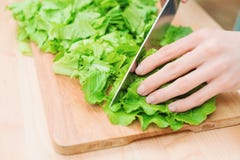 Close-up Female Hands Chopping A Green Plant Salad Cooking Salad From Vegetables On A Wooden Cutting Board At Home. The Royalty Free Stock Photos