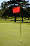 Close up Flag on the Green stock images Close up Flag on the Green stock images