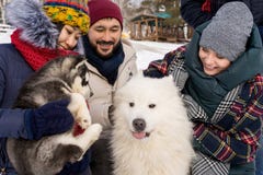 Friends Playing with Dogs stock photography Friends Playing with Dogs stock photography