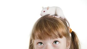 Close-up Girl With A Rat Royalty Free Stock Images