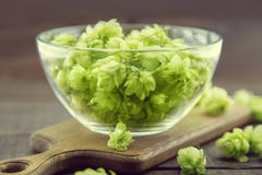 Close up of green ripe hop cones in a glass bowl over dark rustic wooden background. Beer production ingredient. royalty free stock photos Close up of green ripe hop cones in a glass bowl over dark rustic wooden background. Beer production ingredient. royalty free stock photos