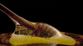 Close up of honey dripping from a wooden dipper on black background stock images Close up of honey dripping from a wooden dipper on black background stock images