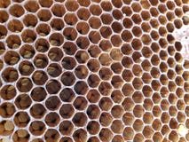 Symmetry royalty free stock photos Symmetry royalty free stock photos