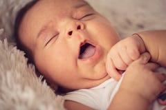 Close up of newborn baby body parts. Small hand, nose and mouth stock image Close up of newborn baby body parts. Small hand, nose and mouth stock image