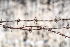 Close Up Of Barbed Wire Royalty Free Stock Image