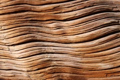 Close-up Old Wooden Texture Stock Photography Close-up Old Wooden Texture Stock Photography