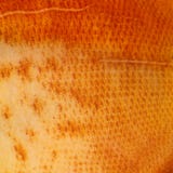 Close-up on a orange fish's skin stock image Close-up on a orange fish's skin stock image