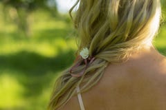 Close up photo from the back of blonde girl hair with a flower b royalty free stock image Close up photo from the back of blonde girl hair with a flower b royalty free stock image