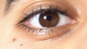 Close up picture of beautiful brown eye of a young man, face detail concept. Media. The pupil of male eye narrows and royalty free stock photography Close up picture of beautiful brown eye of a young man, face detail concept. Media. The pupil of male eye narrows and royalty free stock photography