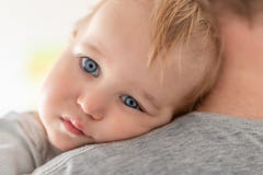 Close-up portrait of cute adorable blond caucasian toddler boy on fathers shoulder indoors. Sweet little child feeling safety on royalty free stock photo Close-up portrait of cute adorable blond caucasian toddler boy on fathers shoulder indoors. Sweet little child feeling safety on royalty free stock photo