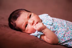 Close up portrait of a cute two weeks old newborn baby girl lying down stock photography Close up portrait of a cute two weeks old newborn baby girl lying down stock photography