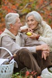 Close up portrait of happy senior couple having picnic stock images Close up portrait of happy senior couple having picnic stock images
