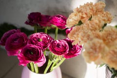 Close up of a Ranunculus and carnation flower in vase. royalty free stock photo Close up of a Ranunculus and carnation flower in vase. royalty free stock photo
