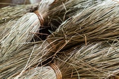 Close-up on sacks of straws for sedge mat weaving in Ben Tre, Mekong delta region, Vietnam. Horizontal view royalty free stock photography Close-up on sacks of straws for sedge mat weaving in Ben Tre, Mekong delta region, Vietnam. Horizontal view royalty free stock photography
