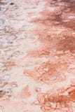 Close up of salt marsh in Salinas in Sal Cape Verde - Cabo Ver royalty free stock image Close up of salt marsh in Salinas in Sal Cape Verde - Cabo Ver royalty free stock image