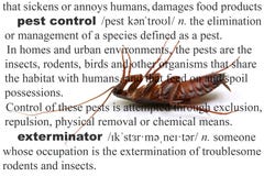 Pest Control Dead Cockroach Concept stock images Pest Control Dead Cockroach Concept stock images