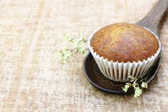 Close up single banana cup cake bakery side view on wood ladle look delicious on wooden table background stock image Close up single banana cup cake bakery side view on wood ladle look delicious on wooden table background stock image