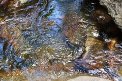 Close up surface of floating water with ripples and waves and some reflections stock image Close up surface of floating water with ripples and waves and some reflections stock image