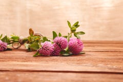 Close-up van roze klaverbloemen op houten lijst Geneeskrachtige installatieklaver St Patrick `s de Achtergrond van de Dag royalty-vrije stock foto Close-up van roze klaverbloemen op houten lijst Geneeskrachtige installatieklaver St Patrick `s de Achtergrond van de Dag royalty-vrije stock foto