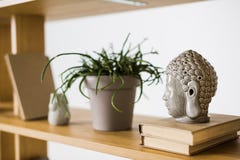 Close up view of books and plant in flowerpot on wooden bookshelf Stock Photos Close up view of books and plant in flowerpot on wooden bookshelf Stock Photos