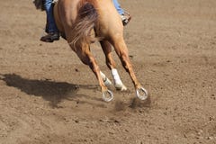 A close up view of a fast running horse and flying dirt. Royalty Free Stock Photo A close up view of a fast running horse and flying dirt. Royalty Free Stock Photo