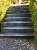 A Flight Of Stairs royalty free stock photos A Flight Of Stairs royalty free stock photos