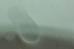 Close up water drops on grey tone background. Abstract white gray wet texture with bubbles on plastic PVC surface or grunge. royalty free stock photo Close up water drops on grey tone background. Abstract white gray wet texture with bubbles on plastic PVC surface or grunge. royalty free stock photo