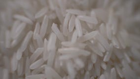 Close-up of white rice on the table. Close-up of camera movement along white rice. 4K stock footage Close-up of white rice on the table. Close-up of camera movement along white rice. 4K stock footage