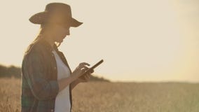 Close-up of woman`s hand running through organic wheat field, steadicam shot. Slow motion. Girl`s hand touching wheat stock footage Close-up of woman`s hand running through organic wheat field, steadicam shot. Slow motion. Girl`s hand touching wheat stock footage
