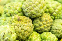 Close view of several Pinhia fruit. Fresh fruit from the northeast of brazil. green on the outside and white on the inside stock images Close view of several Pinhia fruit. Fresh fruit from the northeast of brazil. green on the outside and white on the inside stock images