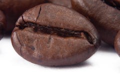 Closeup of coffe bean royalty free stock image Closeup of coffe bean royalty free stock image