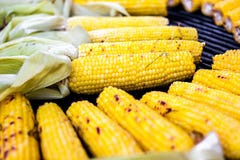 Closeup delicious BBQ grilled Mexican corn on the cob, vegetable food background. Barbecued roasted on the hot stove fresh tasty s royalty free stock image Closeup delicious BBQ grilled Mexican corn on the cob, vegetable food background. Barbecued roasted on the hot stove fresh tasty s royalty free stock image
