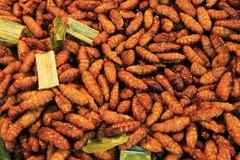 Fried worms are street food. stock image Fried worms are street food. stock image