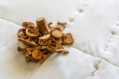 Closeup pattern background of many different wine corks, wine co royalty free stock photo Closeup pattern background of many different wine corks, wine co royalty free stock photo