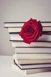 Red rose and books Royalty Free Stock Photography Red rose and books Royalty Free Stock Photography