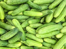 Closeup Surface Pile Of Fresh Cucumber Textured Background Royalty Free Stock Photos
