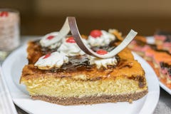 Closeup of tasty cake with jelly, chocolate chips and fruits. desserts in the restaurant. Dessert - Cake with Chocolate royalty free stock photography Closeup of tasty cake with jelly, chocolate chips and fruits. desserts in the restaurant. Dessert - Cake with Chocolate royalty free stock photography