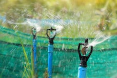 Closeup of water sprinkler, irrigation of agricultural field Stock Photography Closeup of water sprinkler, irrigation of agricultural field Stock Photography