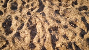 Closeupbild av den sandiga den havsstranden eller ?knen Abstrakt foto av sand fotografering för bildbyråer Closeupbild av den sandiga den havsstranden eller ?knen Abstrakt foto av sand fotografering för bildbyråer