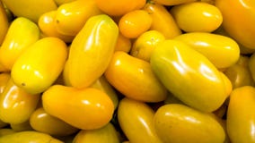 Closeupfoto av massor av nya mogna tomater Textur eller modell av nya mogna gr?nsaker arkivfoto Closeupfoto av massor av nya mogna tomater Textur eller modell av nya mogna gr?nsaker arkivfoto